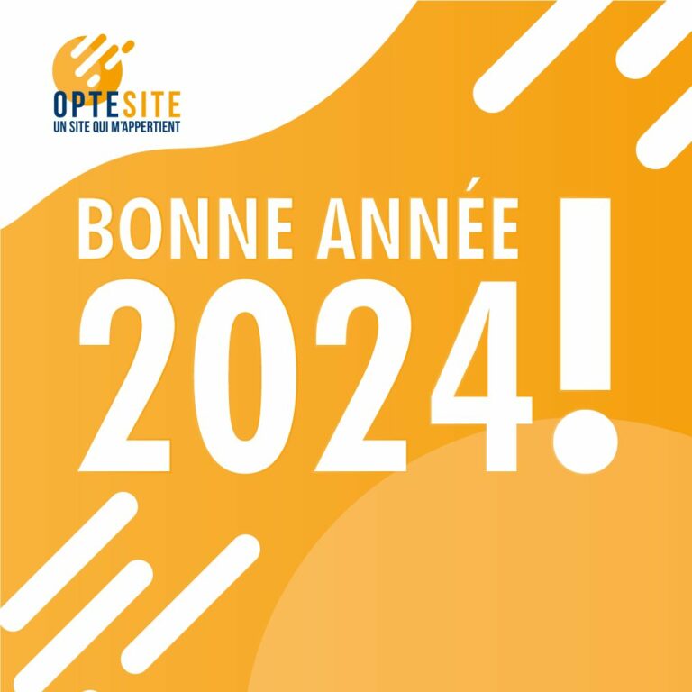 Read more about the article Bonne année 2024 !
